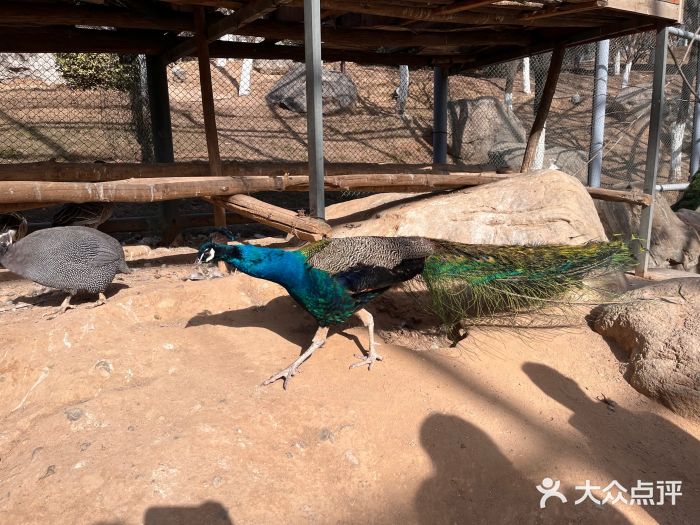 西安世博园图片