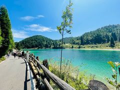 -武陵山森林公园