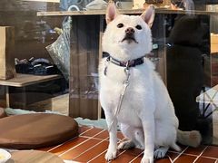 -屋裡·Union Bakery(龙江路店)
