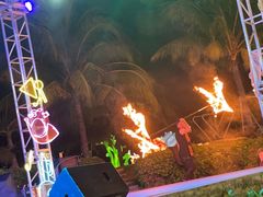 -渔家火锅·海鲜自助餐·演艺(亚龙湾天域酒店)