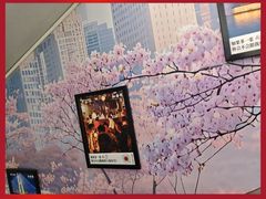 -武汉知音号
