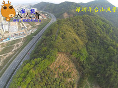 航拍深圳羊台山-阳台山森林公园