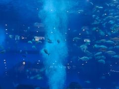 -成都浩海立方海洋公园