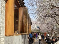 -春风习习
