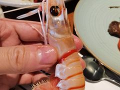 -Mr·Fish鱼鲜生海鲜放题(银泰in99店)