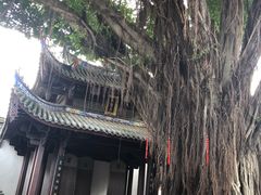 -同利肉燕老铺(澳门路店)