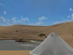 -江边城外烤全鱼(魏公村店)