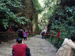-天女山森林公园
