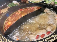 -肚社毛肚火锅