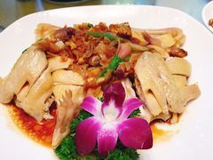 白切文昌鸡-顺丰轩园林酒家(天河店)