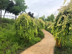 -东郊湿地公园