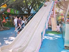 -顺德大良半月城游乐场