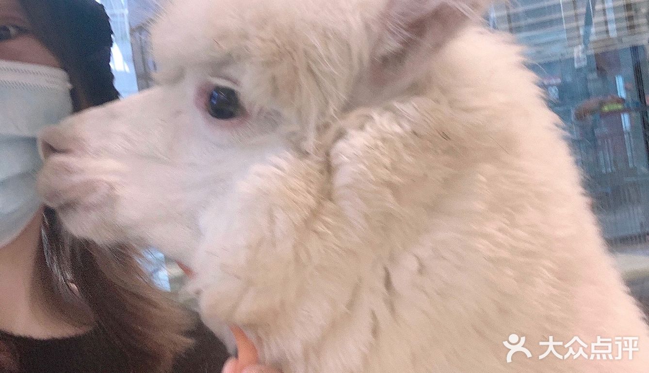 期望有多大，失望就有多大吧！第一次这样的……