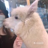 期望有多大，失望就有多大吧！第一次这样的……