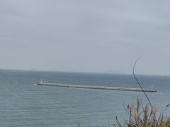 -东澳岛
