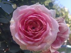 -人民公园(罗湖区)