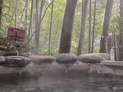 -花水湾第一村温泉大酒店