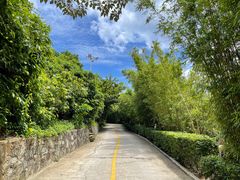 -海南分界洲岛旅游区