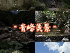 -青峰峡国家森林公园
