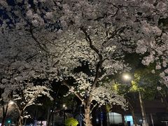 -玛格萝妮比萨屋(四平店)