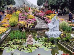 -南山植物园