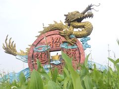 -白洋淀景区