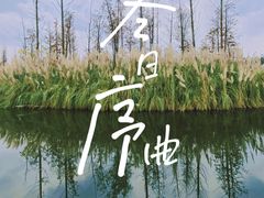 -白鹭湾湿地公园