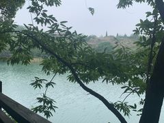 -白马涧龙池景区