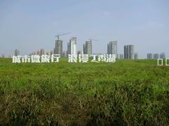 -丁香湖公园
