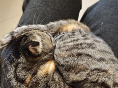 -平行世界·猫咖(首经贸店)
