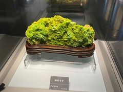 -安徽省地质博物馆