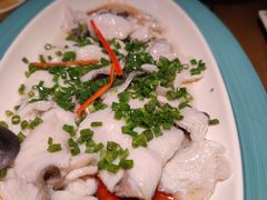 藤椒功夫起片海鲈鱼-大鸽饭(岗顶店)