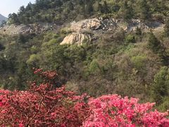 -木兰云雾山