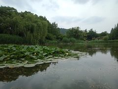 -云龙湖旅游景区