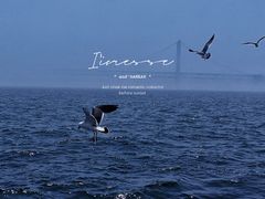 -星海广场