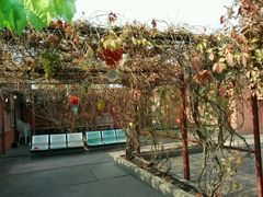 -天羽烤乳鸽店(财大家属院店)