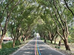 -同里国家湿地公园