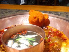-重庆地瓜老火锅(广渠门店)