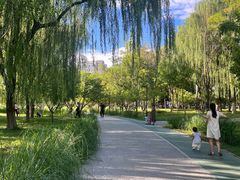 -回龙观体育文化公园