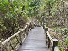-清溪森林公园