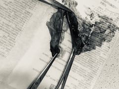 -佳雯宠物医院(四明中路分院)