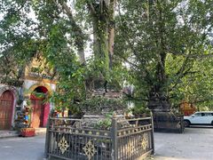 -西双版纳傣族园