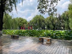 -四川大学(望江校区)