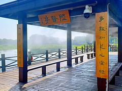 -荷塘月色湿地公园·向阳花洲