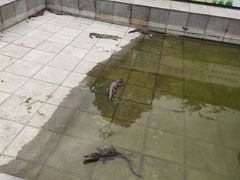 -万佛湖风景区