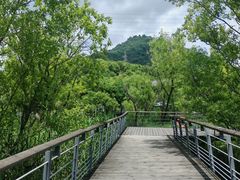 -西湖风景区-江洋畈生态公园