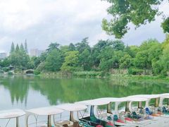 -羊山湖公园