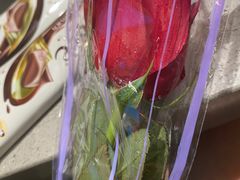 -海底捞火锅(宇飞大厦店)