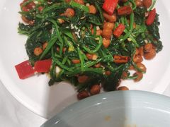 -新侨小馆(东直门北小街店)