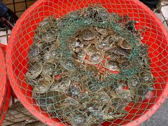 -青石桥市场北1-27号